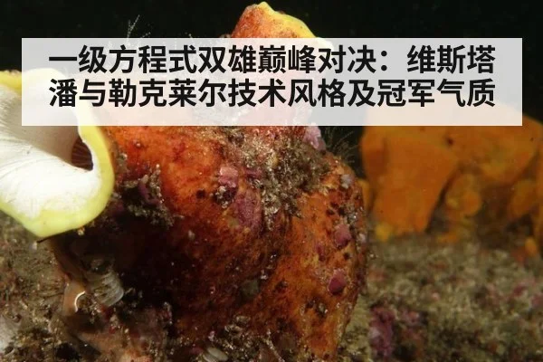 一级方程式双雄巅峰对决：维斯塔潘与勒克莱尔技术风格及冠军气质